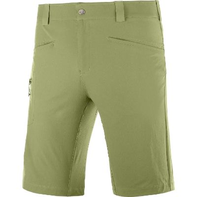 Salomon Wayfarer Herrshorts Green