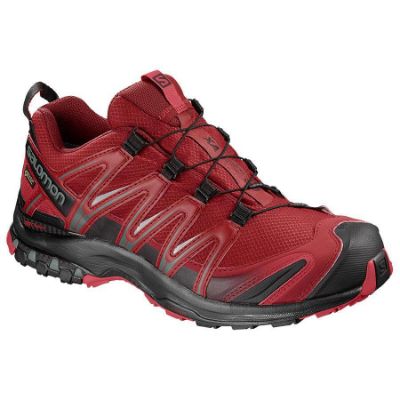 Salomon-XA-PRO-3D-GTX-2019-54415.jpg