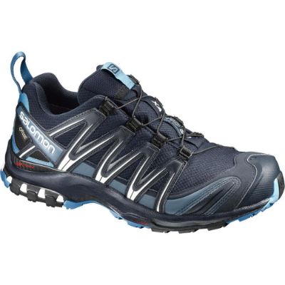 Salomon-XA-PRO-3D-GTX-2018-44263.jpg