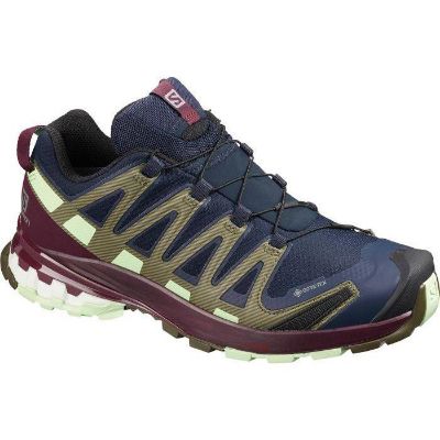 Salomon XA Pro 3D v8 GTX W Navy Blazer / Indigo Bunting