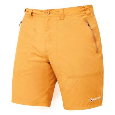 Montane-Terra-Shorts--78422.jpg