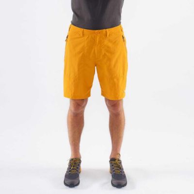 Montane-Terra-Shorts--78424.jpg