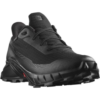 Salomon Alphacross 5 GTX W