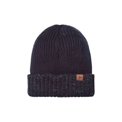 Sealskinz Bacton wp cold wt. roll cuff beanie - Navy Blue