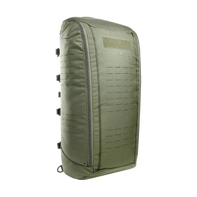 7374 Olive.jpg