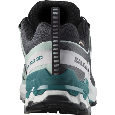 Salomon Xa Pro 3d V9 GTX W