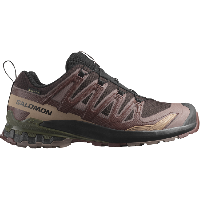 Salomon Xa Pro 3D V9 GTX Black Coffe / Rum Raisin / Olive Night