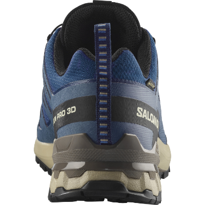 Salomon Xa Pro 3D V9 GTX I farven Poseidon / White Pepper / Falcon