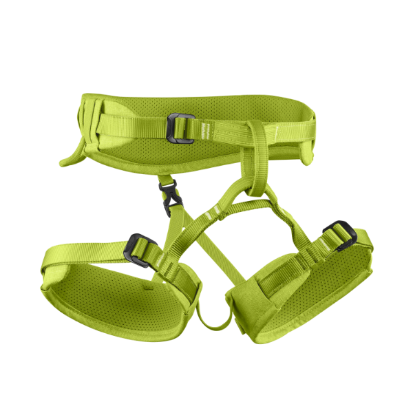 74333_138a Oasis.png