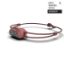 smini_fly_rose_38463_ispo_winner.jpg