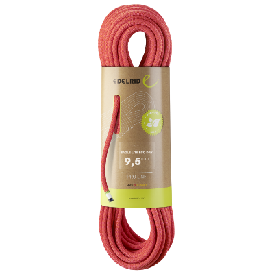 neon-coral-71341_NeonCoral.png