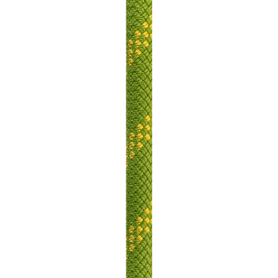 green-EDELWEISS_C2P102.50.A_2_WEB.png