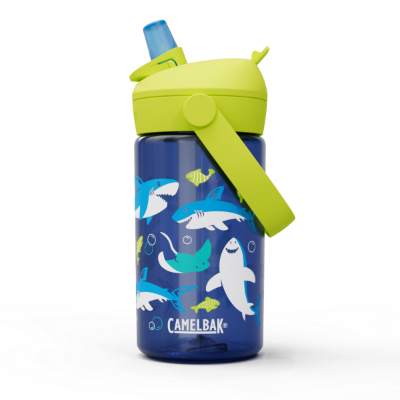 sharks-and-rays-2860403041_1.png