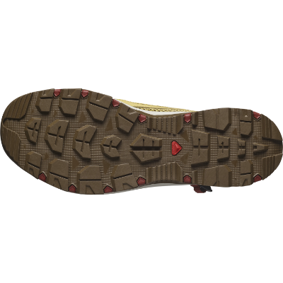 Salomon Techamphibian 5 i farven Antique Gold