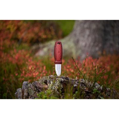 eldris_s_red_pe03_12648_13517_12770_d00c3621a57201fa38dec2903aef7521.jpg