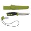 companion_spark_s_green_p01_13570_19b86c018042b9a0d0f6e19f52d2dada.jpg