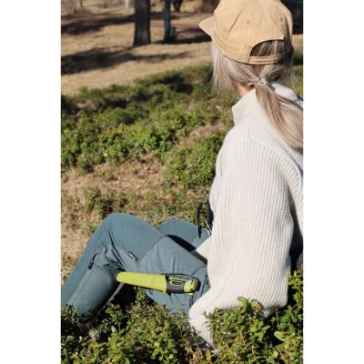 companion_spark_s_green_pe02_13570_fd49d93ce92a38fb7243f733dd5d66f6.jpg