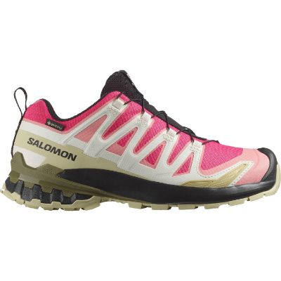 Salomon Xa Pro 3d V9 GTX W