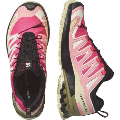 Salomon Xa Pro 3d V9 GTX W