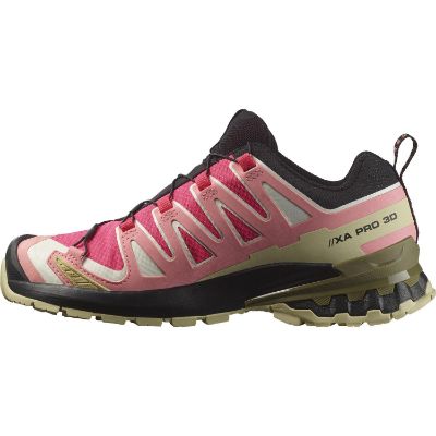 Salomon Xa Pro 3d V9 GTX W