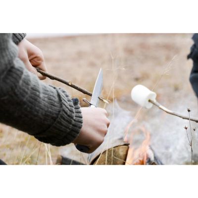 scout_39_s_blueberry_pe04_13974_c67b548664dca5d6344329e9f1f81f36.jpg