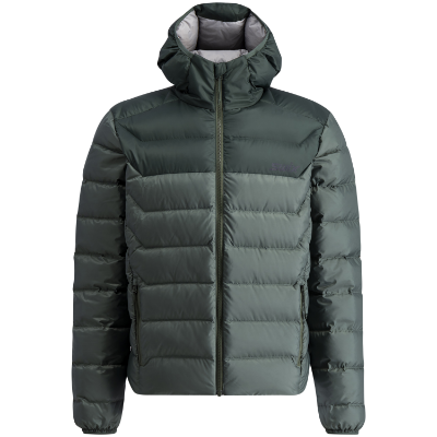 10144_pine-forest_main01_3.png